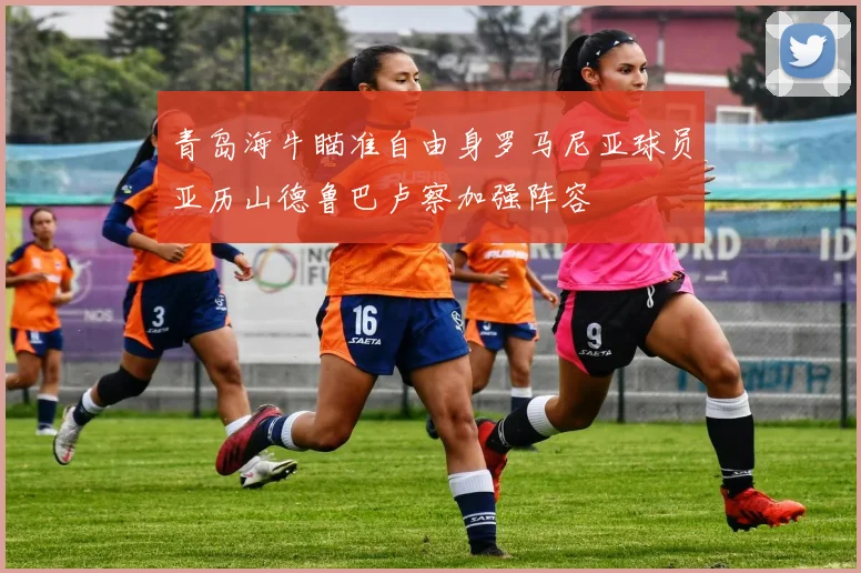 青岛海牛瞄准自由身罗马尼亚球员亚历山德鲁巴卢察加强阵容