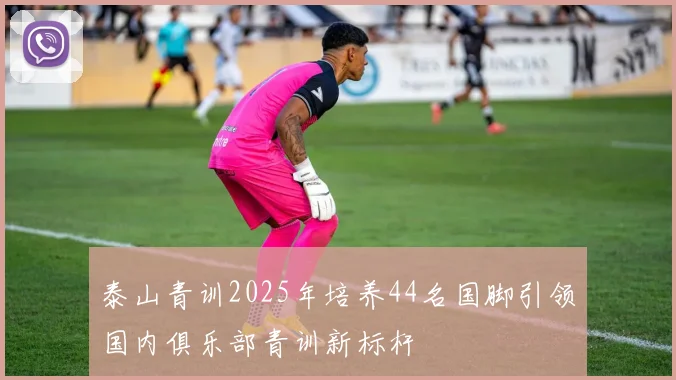 泰山青训2025年培养44名国脚引领国内俱乐部青训新标杆