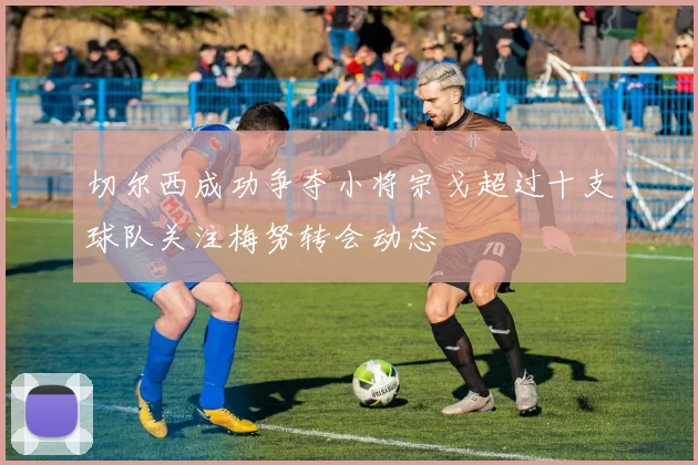 切尔西成功争夺小将宗戈超过十支球队关注梅努转会动态